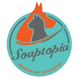 Soaptopia Logo